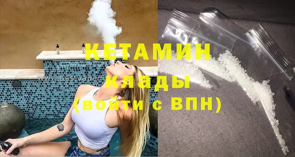 сатива Беломорск