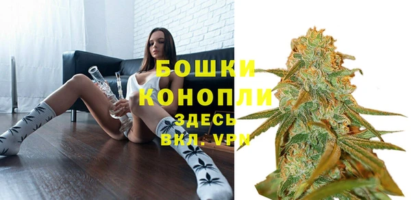 молекула духа Надым