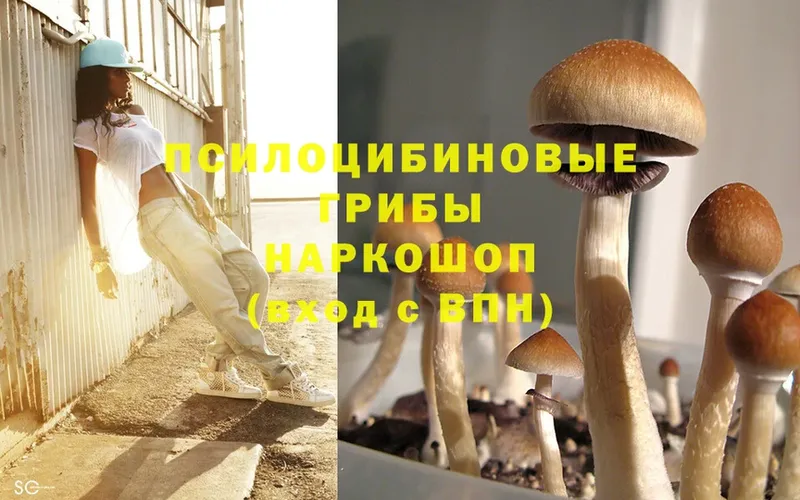 Галлюциногенные грибы MAGIC MUSHROOMS  Камышлов 