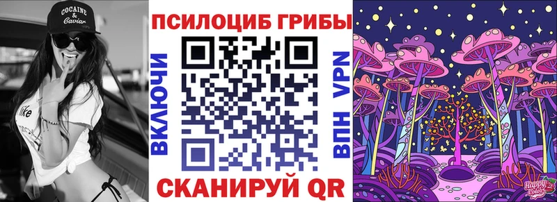 Галлюциногенные грибы Psilocybe  Камышлов 