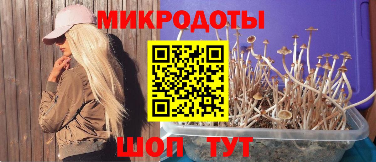 наркота  Галлюциногенные грибы Psilocybine cubensis  Псилоцибиновые грибы GOLDEN TEACHER  Вход с VPN  Камышлов 