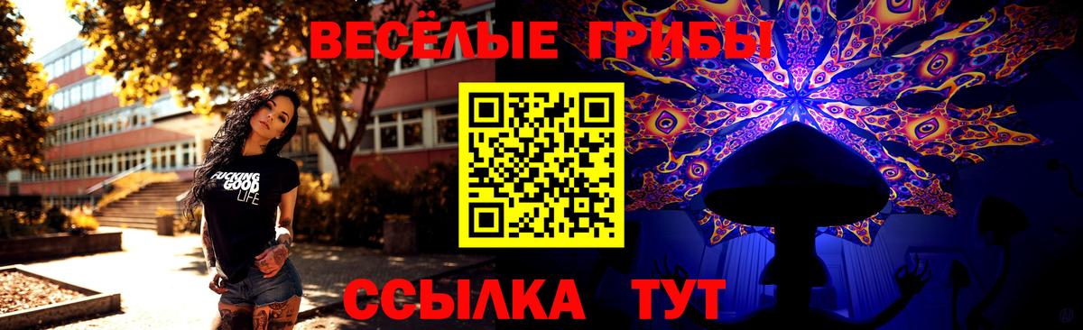 Псилоцибиновые грибы мицелий Камышлов