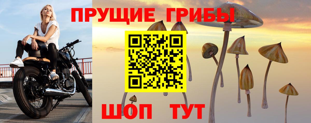 Псилоцибиновые грибы Magic Shrooms  Камышлов  Галлюциногенные грибы мухоморы 