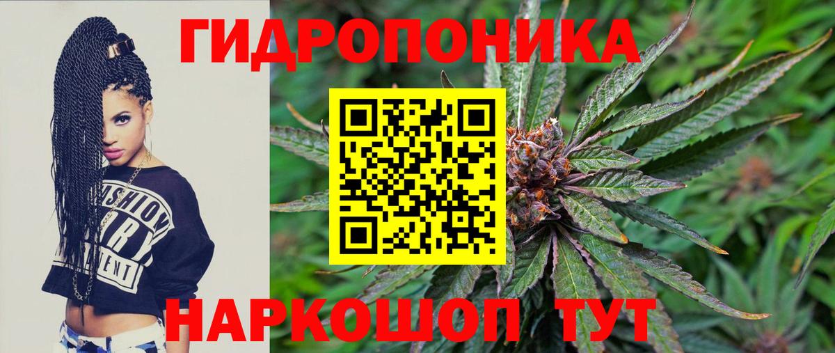 Конопля MAZAR  Конопля гибрид  Камышлов  Вход с VPN  Каннабис тримм  Бошки марихуана гибрид 